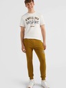 O'Neill Pantaloni da bagno O'Neill Surf State Khaki da uomo