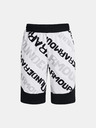 Under Armour Boys' shorts Under Armour UA BASELINE PERF SHORT