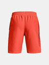 Under Armour Boys' Shorts Under Armour UA Woven Graphic Shorts