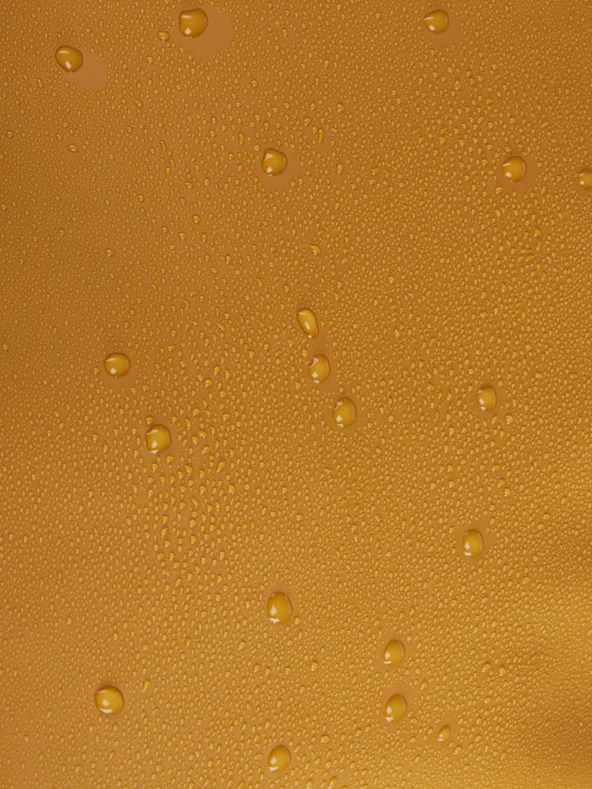 Thule Borsa da viaggio senape 90 l Thule Chasm