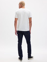 GAP GapFlex Skinny Softmax Jeans GAP
