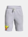 Under Armour Boys' Shorts Under Armour Project Rock Terry Shorts