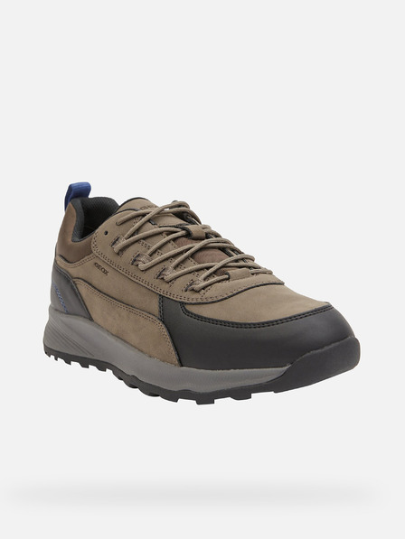 Geox Scarpe da ginnastica marroni da uomo Geox Terrestre