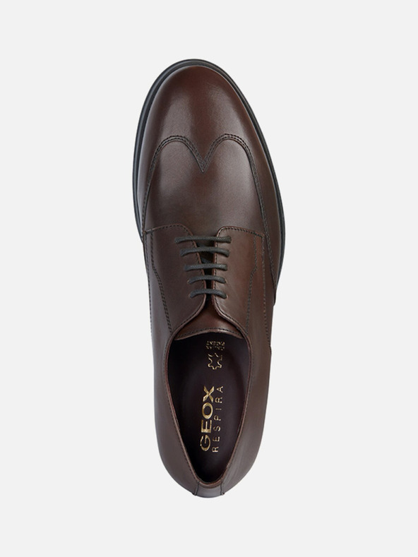 Geox Scarpe Geox Decio uomo testa di moro