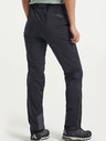 Tenson TENSON TXlite Skagway Pant W nero