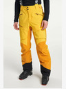 Tenson Pantaloni da sci TENSON Aerismo Uomo M giallo