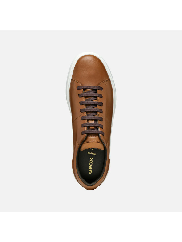 Geox Sneakers Geox Baltmoore uomo marrone