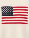 GAP Maglione Gap Americana GAP