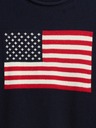 GAP Maglione Gap Americana GAP