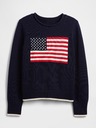 GAP Maglione Gap Americana GAP