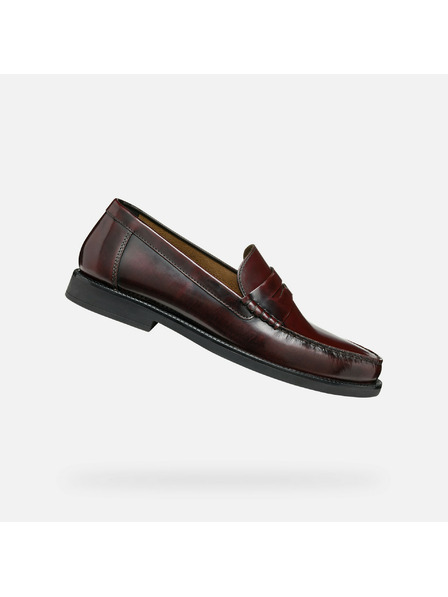 Geox Mocassini marroni scuri da uomo Geox Recanati
