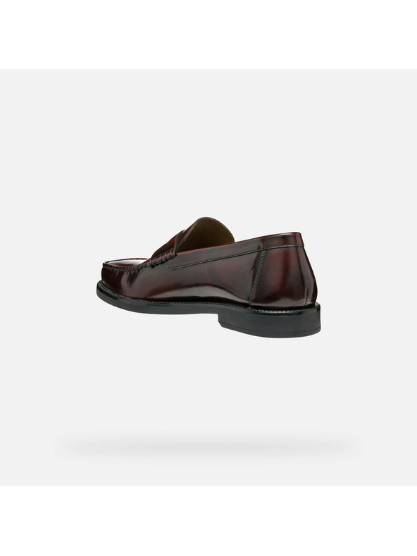 Geox Mocassini marroni scuri da uomo Geox Recanati