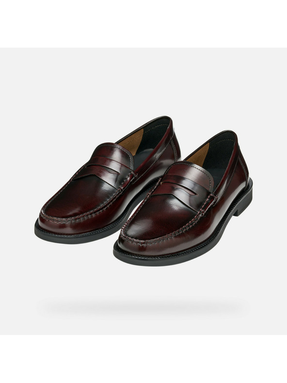 Geox Mocassini marroni scuri da uomo Geox Recanati