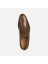 Geox Scarpe eleganti marroni da uomo Geox Iacopo